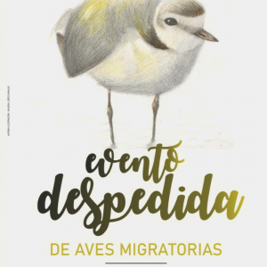 Despedida Aves Migratorias (Tarifa) Del 07 al 25 de Septiembre de 2019